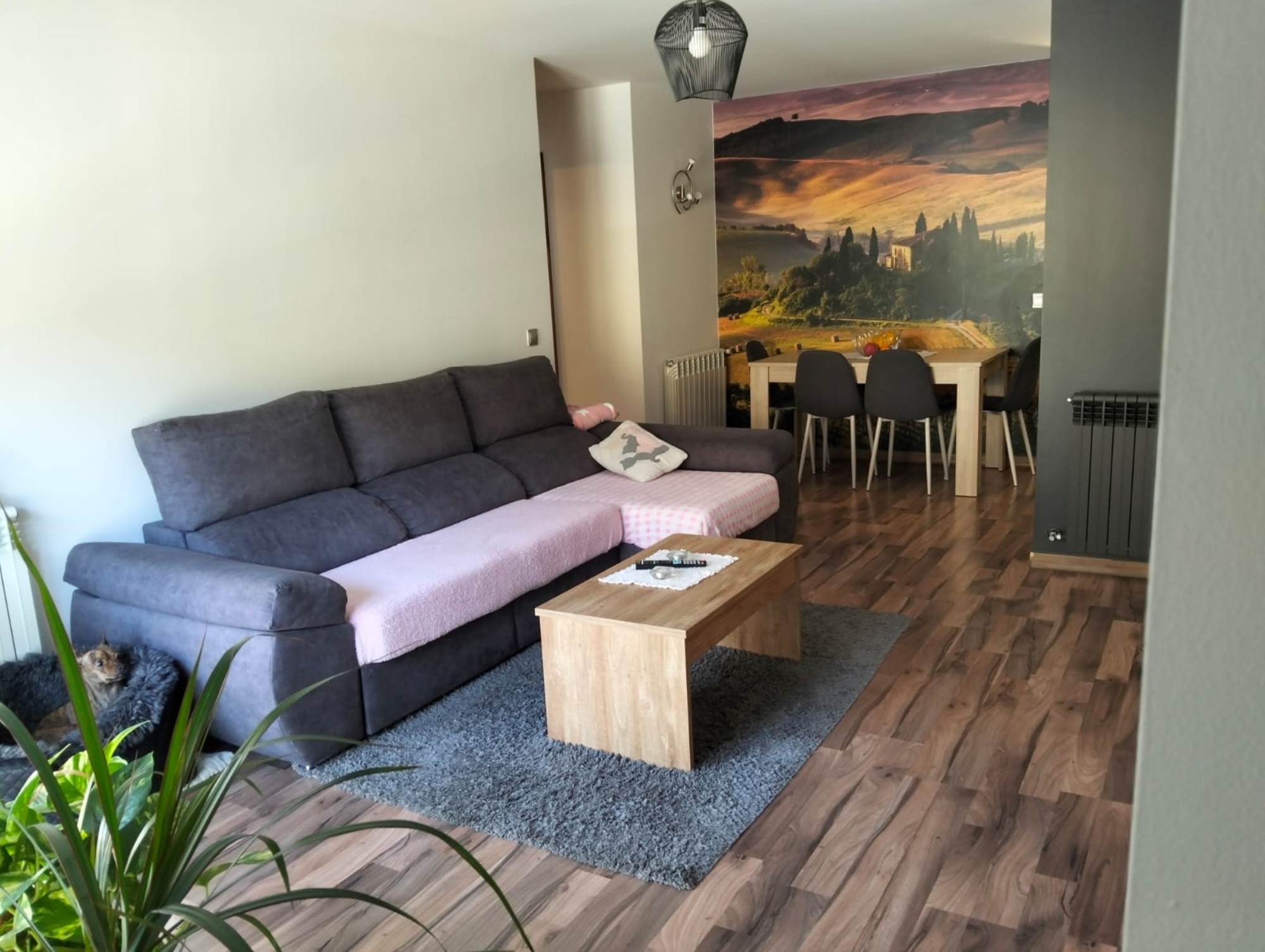 Apartment for sell in Encamp